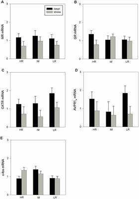 Coping Style of Pigs Is Associated With Different Behavioral, Neurobiological and Immune Responses to Stressful Challenges